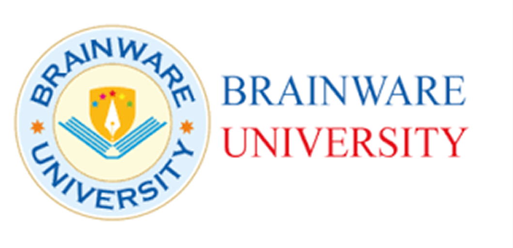 Brain Company Logo